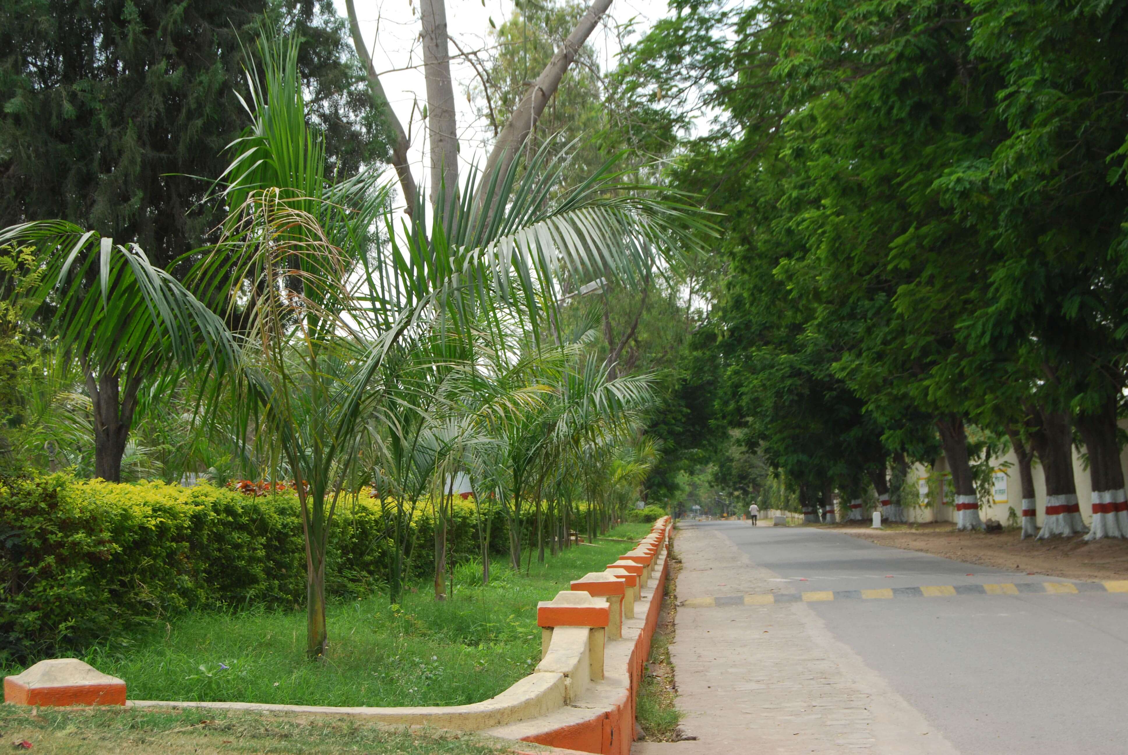 Children park at Devapur plant